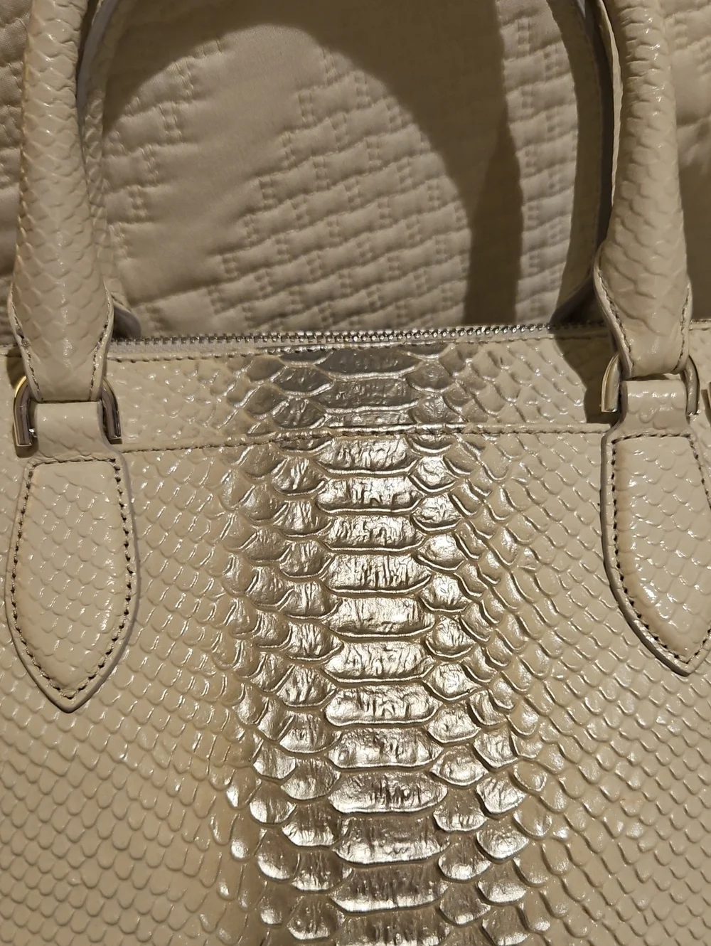 Brahmin small caroline